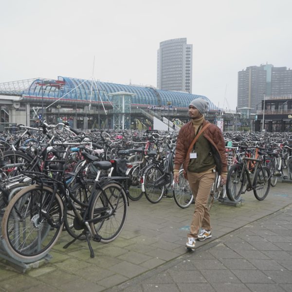 IMG 3502 600x600